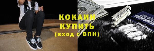 шишки Саяногорск