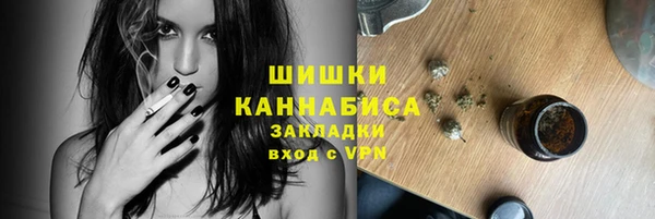 шишки Саяногорск