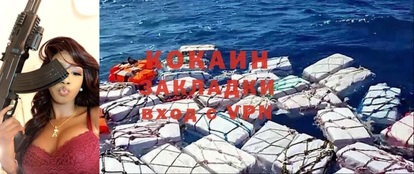 шишки Саяногорск