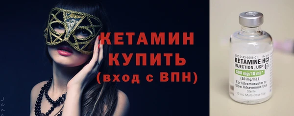 шишки Саяногорск